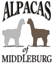 Alpacas Logo for Alpacas of Middleburg